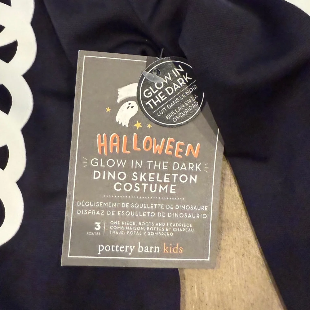 Glow-in-the-Dark Dino Skeleton Halloween Costume  Pottery Barn
